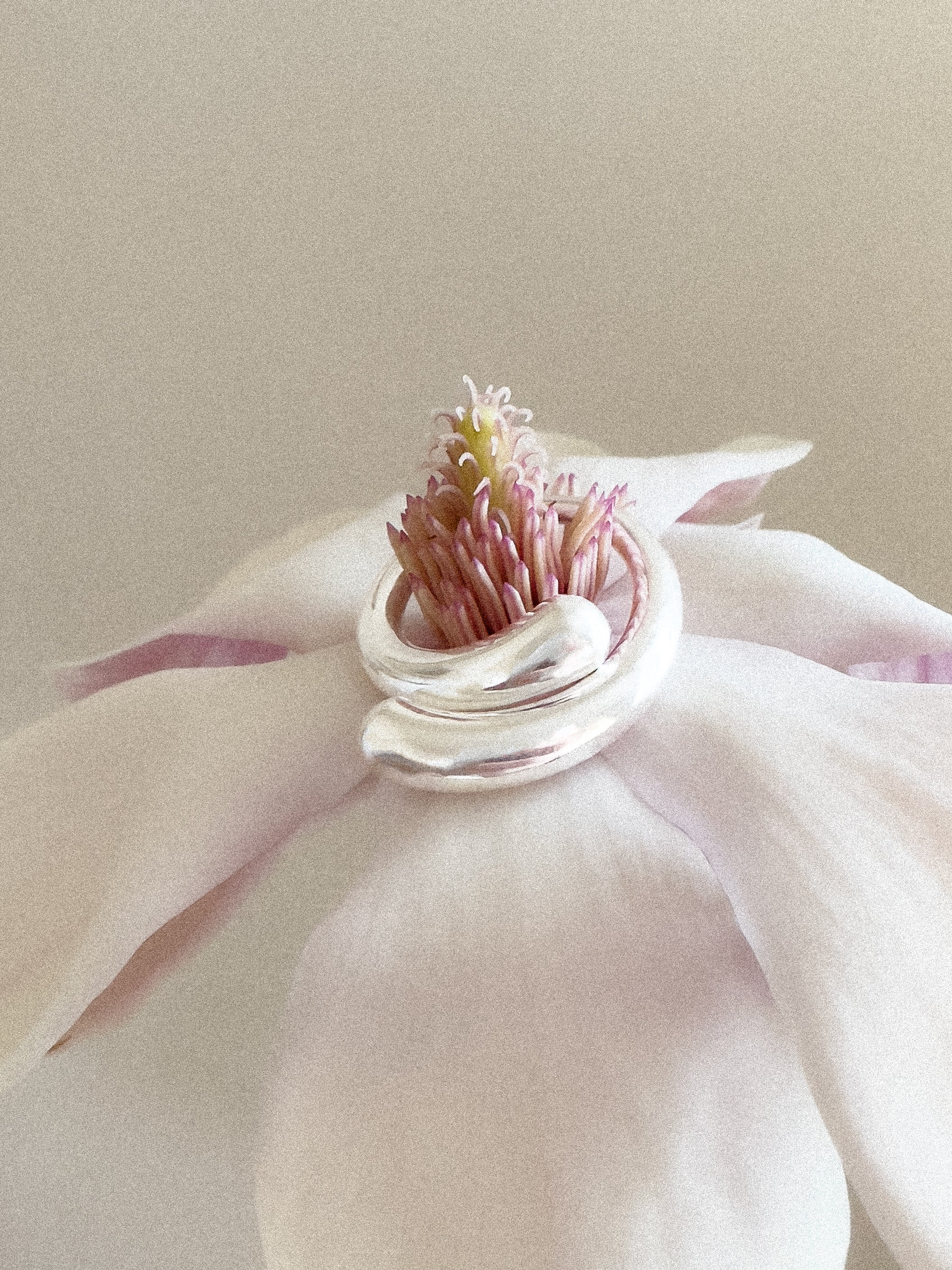 Closure II ring in silver by Sara Robertsson Jewellery